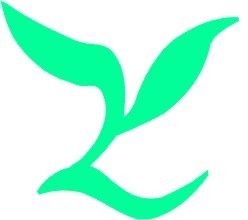 本公司專業激光加工有機玻璃,電子材料,服裝輔料切割鏤空,皮革,無塵布,無紡布,廣告牌,雙色板,有機展示架,水晶字,竹,木工藝品激光雕刻切割,工廠,廠商-深圳市中藝激光加工廠